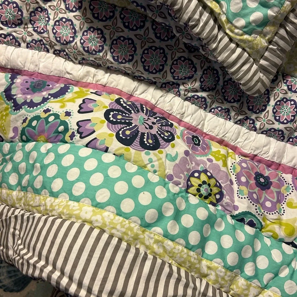 Pottery Barn Teen Girl Floral Twin Comforter W/ Pillow Sham